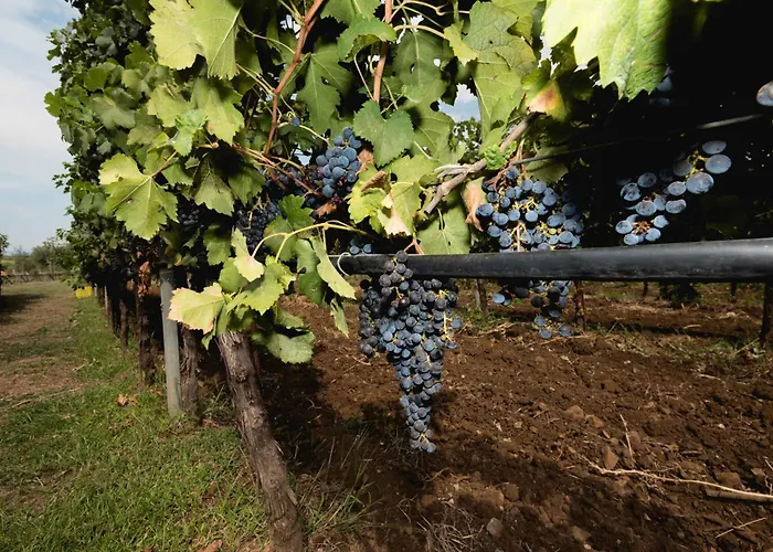 Antico Borgo Molino 7Cento Vicino Ai Giardini Di Ninfa